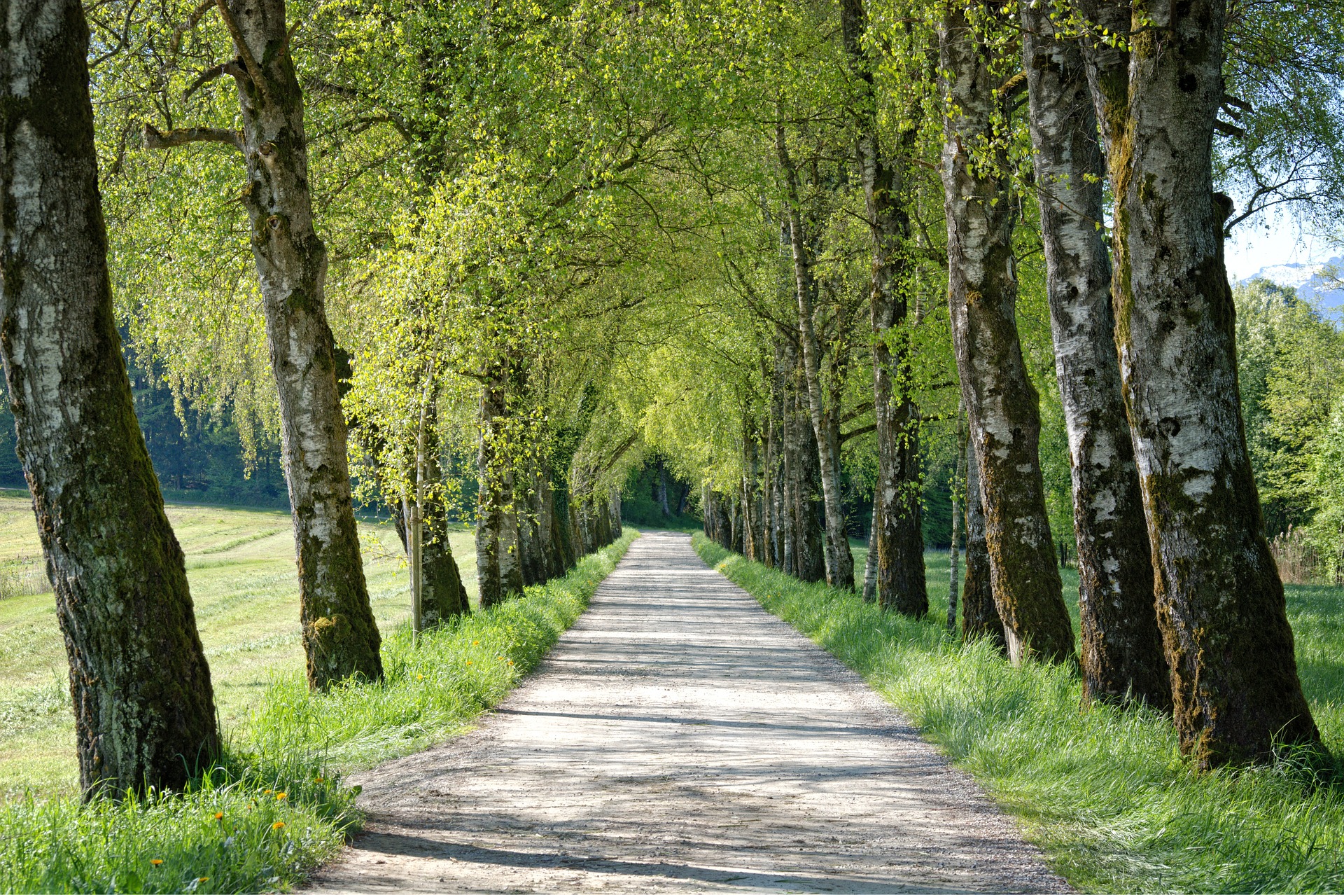 5 modi per praticare la mindfulness